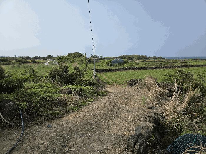 2025타경8292 법원경매 사진3 | 제주 제주시 전답 경매