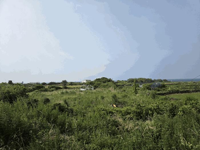 2025타경8292 법원경매 사진5 | 제주 제주시 전답 경매