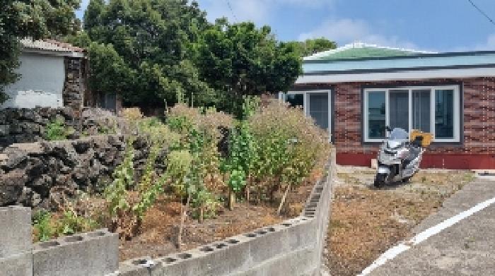2025타경8264 법원경매 사진12 | 제주 서귀포시 주택건물 경매
