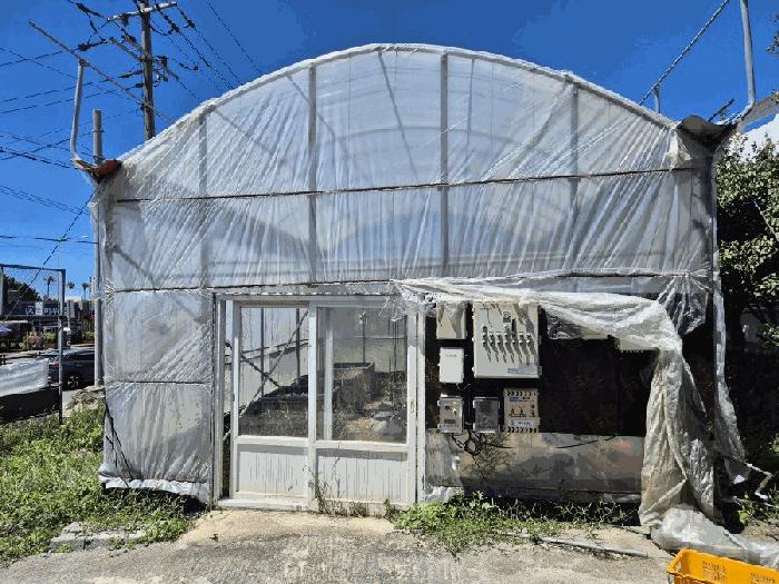 2025타경8299 법원경매 사진8 | 제주 서귀포시 과수원 경매