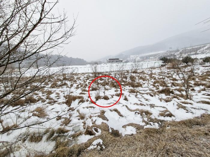 법원경매 2025타경70163 사진2 | 남양주시 수동면 수산리 48 답 경매