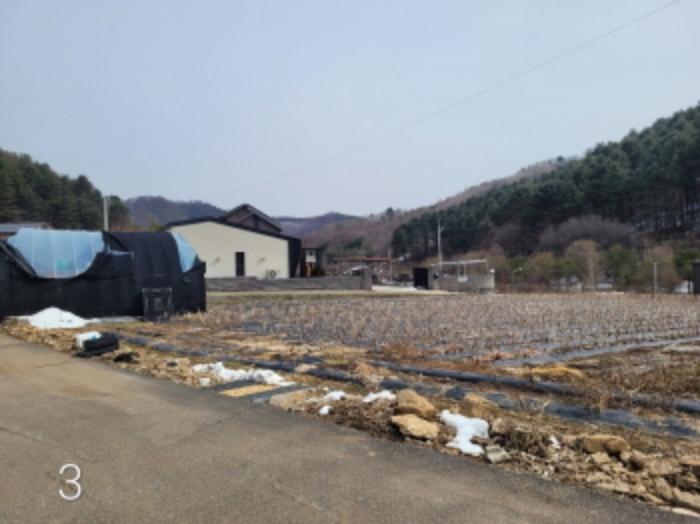법원경매 2024타경226 사진31 | 양평군 단월면 명성리 557 주택건물 경매