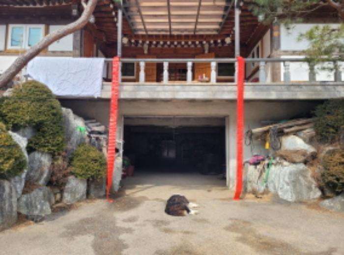 2024타경226 법원경매 사진25 | 경기 양평군 임야 경매