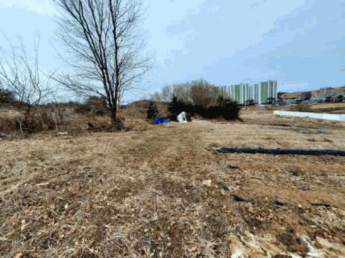법원경매 2025타경54651 사진2 | 화성시 향남읍 상신리 임야 경매