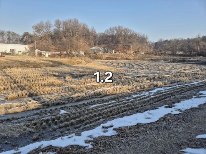 법원경매 2024타경41890 사진4 | 여주시 대신면 후포리 174-1 답 경매