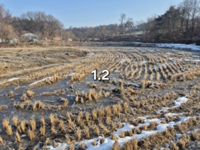 법원경매 2024타경41890 사진8 | 여주시 대신면 후포리 174-1 답 경매