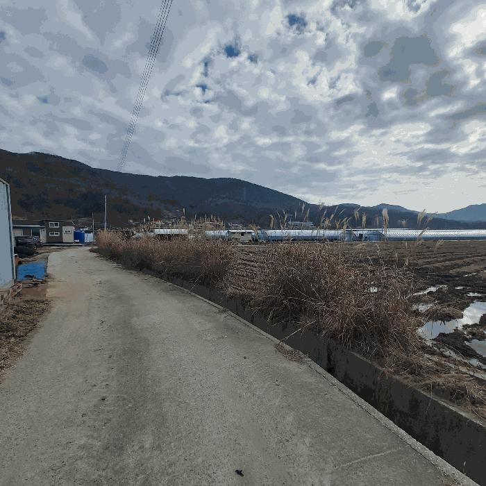2025타경503969 법원경매 사진3 | 충남 금산군 답 경매
