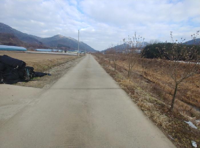 2025타경503969 법원경매 사진7 | 충남 금산군 답 경매