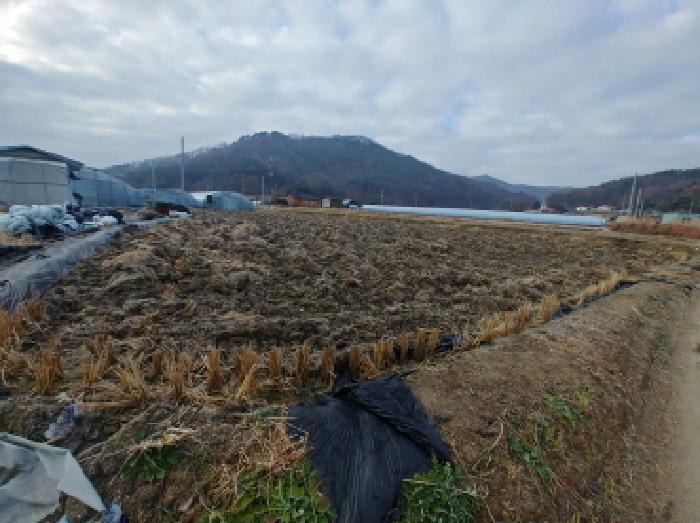 2025타경503969 법원경매 사진9 | 충남 금산군 답 경매