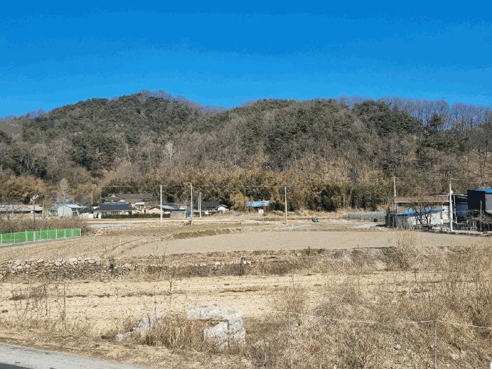경상북도 김천시 구성면 상좌원리 87-1 법원경매 물건 대표사진