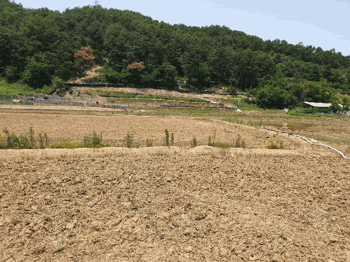 경상북도 구미시 산동읍 적림리 431-1 법원경매 물건 대표사진