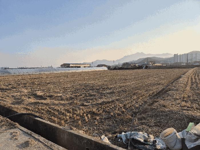 법원경매 2025타경10806 사진2 | 구미시 고아읍 문성리 365 답 경매