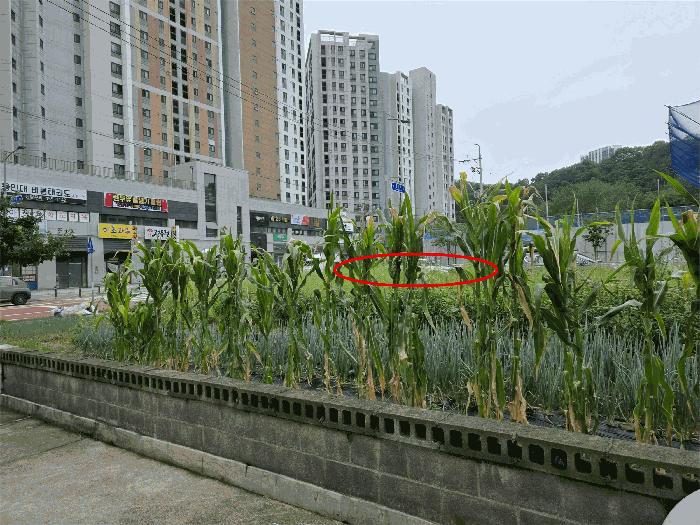 법원경매 2025타경11181 사진2 | 구미시 고아읍 문성리 1634 대지 경매