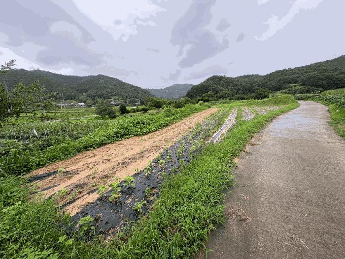 2025타경33468 법원경매 사진10 | 전남 화순군 전 경매