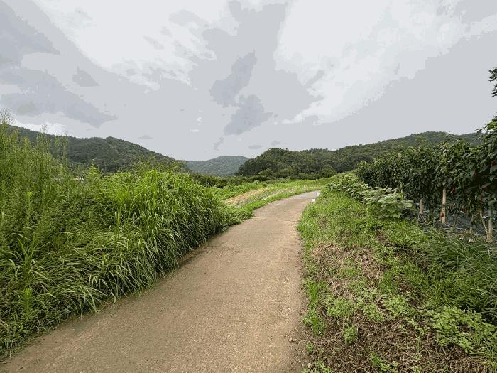 2025타경33468 법원경매 사진6 | 전남 화순군 전 경매