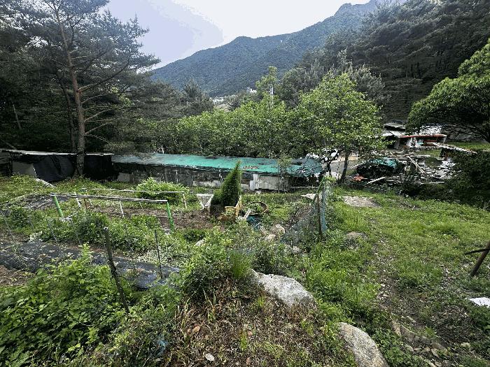 울산광역시 울주군 상북면 등억알프스리 616 법원경매 물건 대표사진