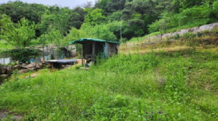 법원경매 2025타경11681 사진14 | 울주군 상북면 등억알프스리 616 답 경매
