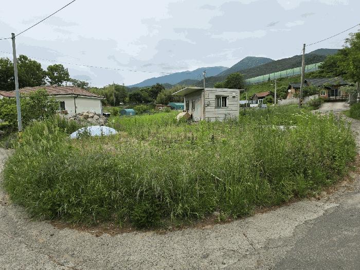 법원경매 2025타경11702 사진13 | 울산 울주군 상북면 산전리 572-3 대지 경매