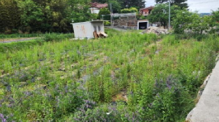 법원경매 2025타경11702 사진16 | 울산 울주군 상북면 산전리 572-3 대지 경매