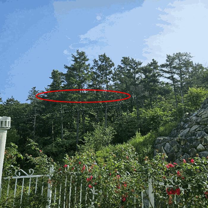 2025타경11926 법원경매 사진4 | 울산 울주군 임야 경매