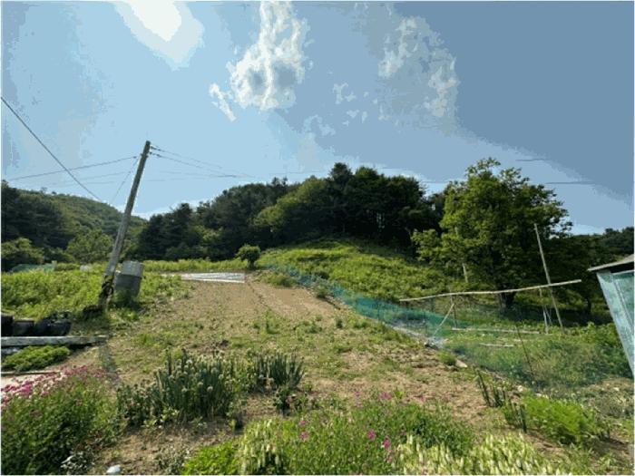 법원경매 2025타경1730 사진3 | 가평군 설악면 회곡리 임야 경매