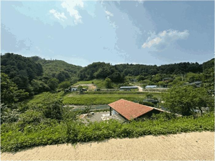 법원경매 2025타경1730 사진8 | 가평군 설악면 회곡리 임야 경매