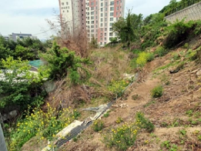 2025타경463 법원경매 사진7 | 경남 김해시 전 경매