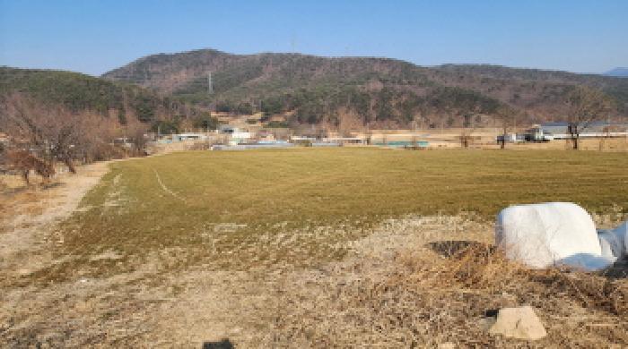법원경매 2025타경688 사진5 | 울산 울주군 두서면 미호리 345-1 전 경매