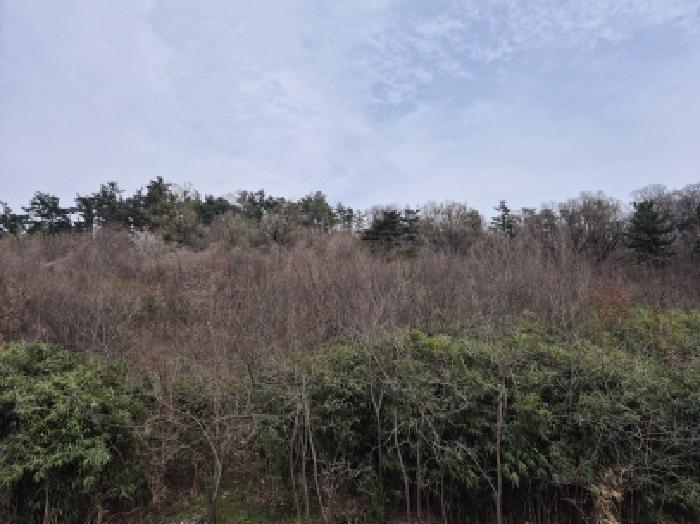 법원경매 2025타경11458 사진5 | 울산 북구 대안동 72 대지 경매