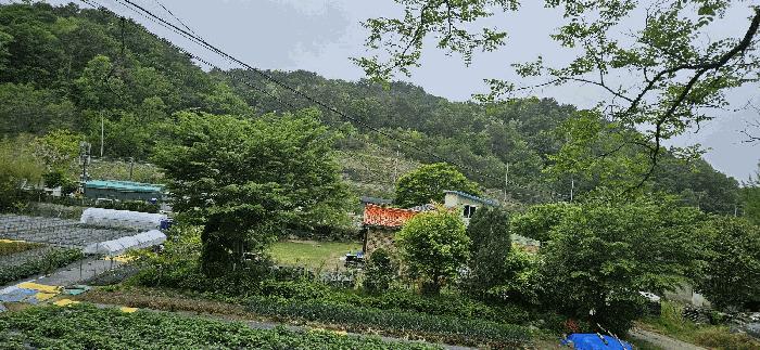 2025타경11636 법원경매 사진2 | 울산 울주군 임야 경매