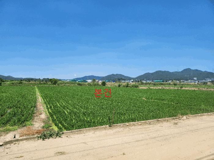 법원경매 2025타경31373 사진2 | 대구 달성군 현풍읍 답 경매