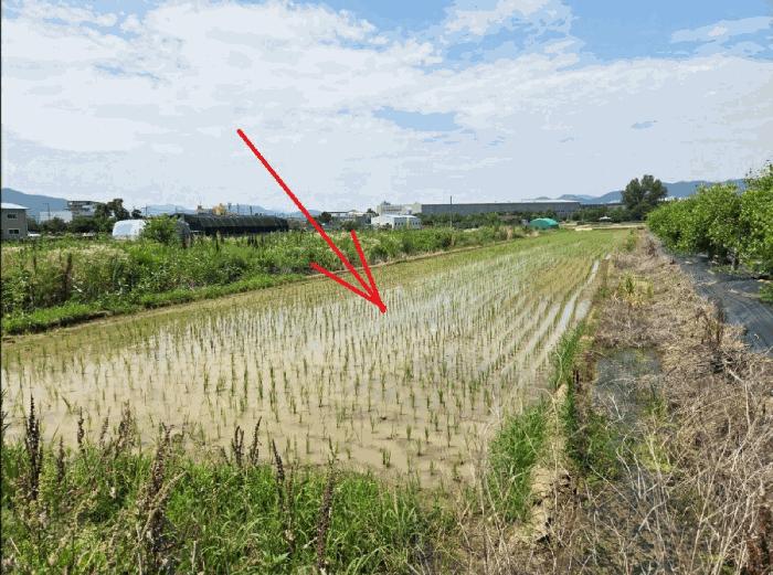 법원경매 2025타경31397 사진6 | 대구 달성군 구지면 응암리 1227-1 대지 경매