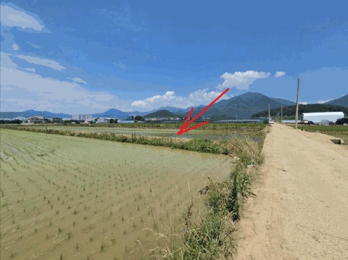 대구광역시 달성군 유가읍 유곡리 802 법원경매 물건 대표사진