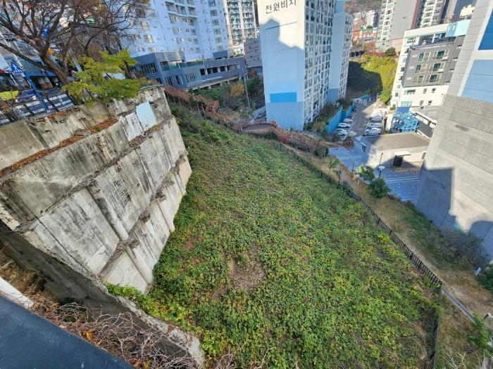 법원경매 2024타경112989 사진2 | 부산 서구 암남동 617-1 전답 경매