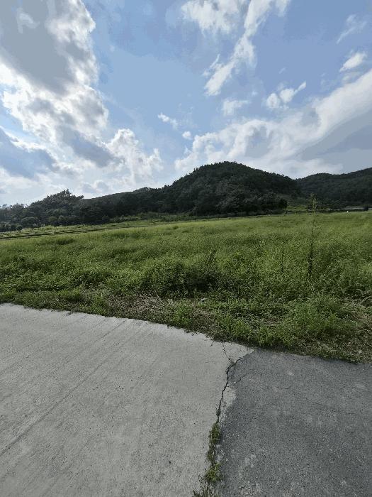 경상남도 함안군 칠서면 태곡리 189-4 법원경매 물건 대표사진
