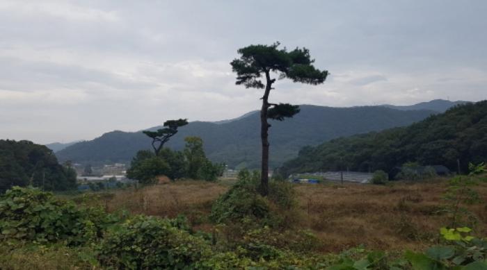 2024타경52534 법원경매 사진72 | 경기 안성시 공장 경매