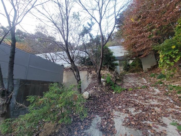 법원경매 2024타경52534 사진31 | 안성시 삼죽면 진촌리 462-8 임야 경매