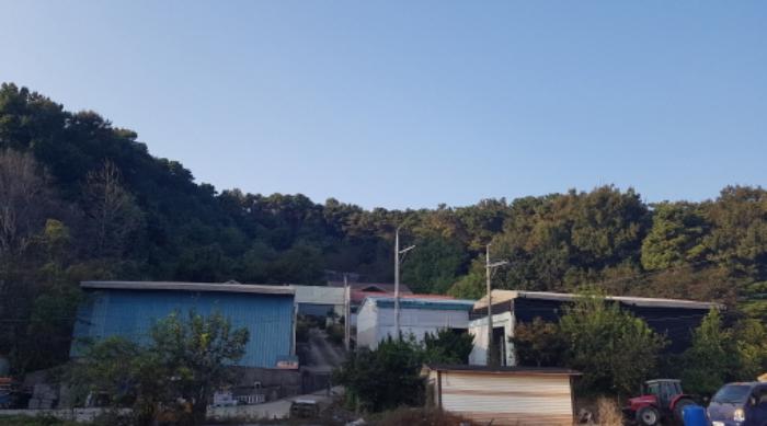 법원경매 2024타경52534 사진66 | 안성시 삼죽면 진촌리 462-8 임야 경매
