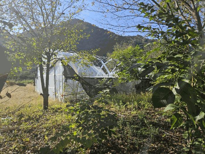 법원경매 2025타경2091 사진8 | 홍천군 내면 율전리 265 전 경매