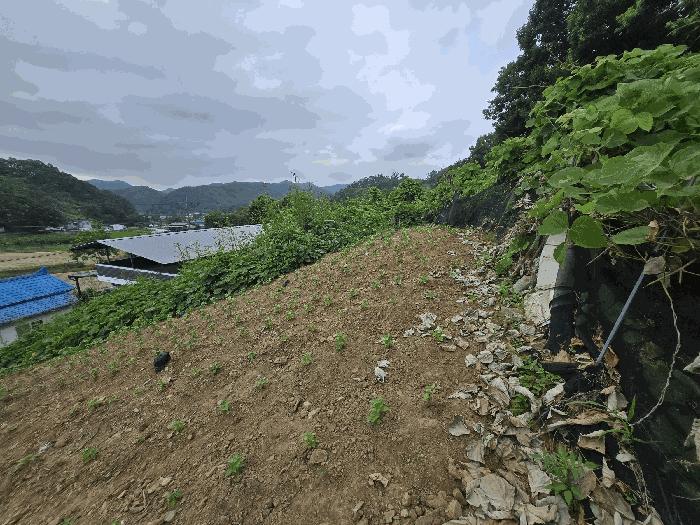 2025타경441 법원경매 사진2 | 충남 논산시 전 경매