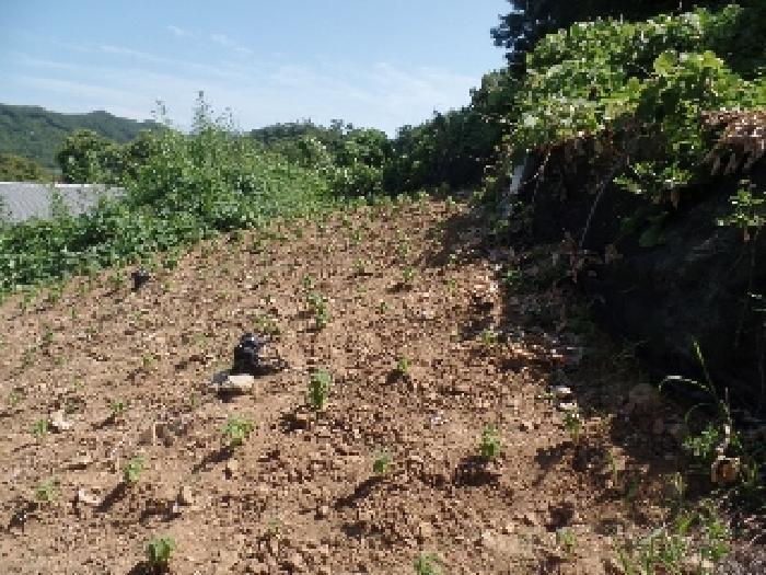 2025타경441 법원경매 사진4 | 충남 논산시 답 경매