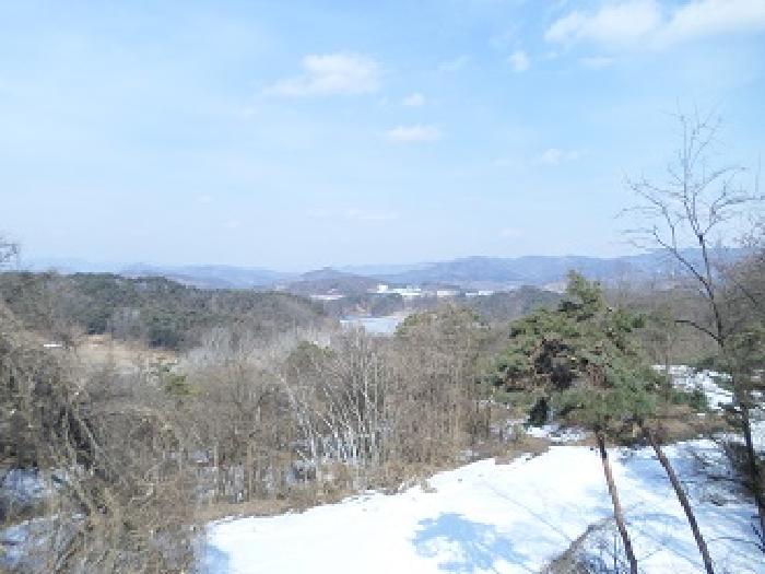 법원경매 2025타경244 사진29 | 원주시 소초면 학곡리 572 임야 경매