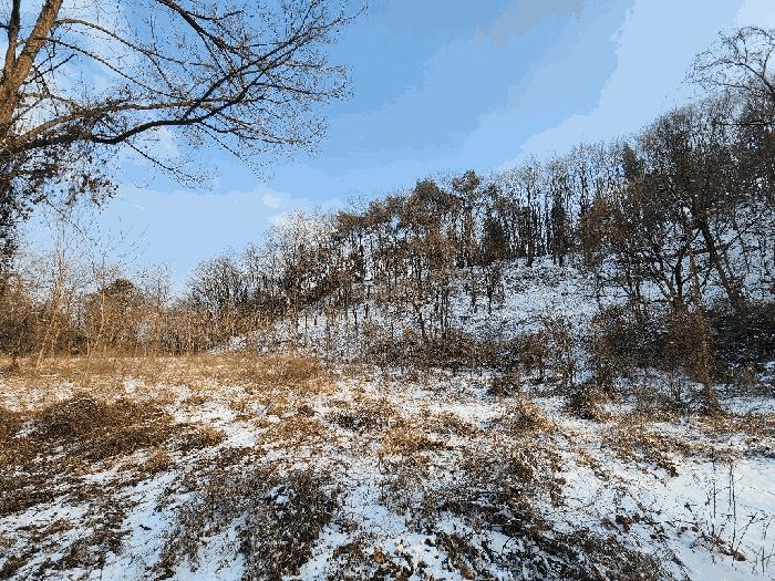 법원경매 2025타경244 사진6 | 원주시 소초면 학곡리 572 임야 경매