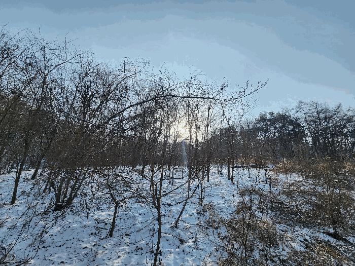 법원경매 2025타경244 사진7 | 원주시 소초면 학곡리 572 임야 경매