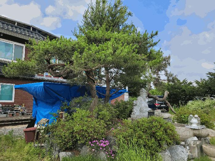 법원경매 2025타경41967 사진5 | 안성시 죽산면 죽산리 170-2 주택건물 경매