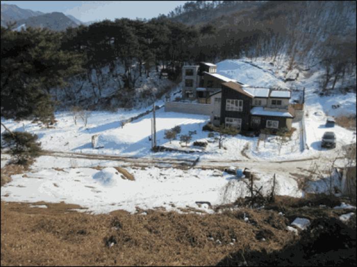 법원경매 2025타경20378 사진6 | 원주시 판부면 서곡리 1347-1 임야 경매