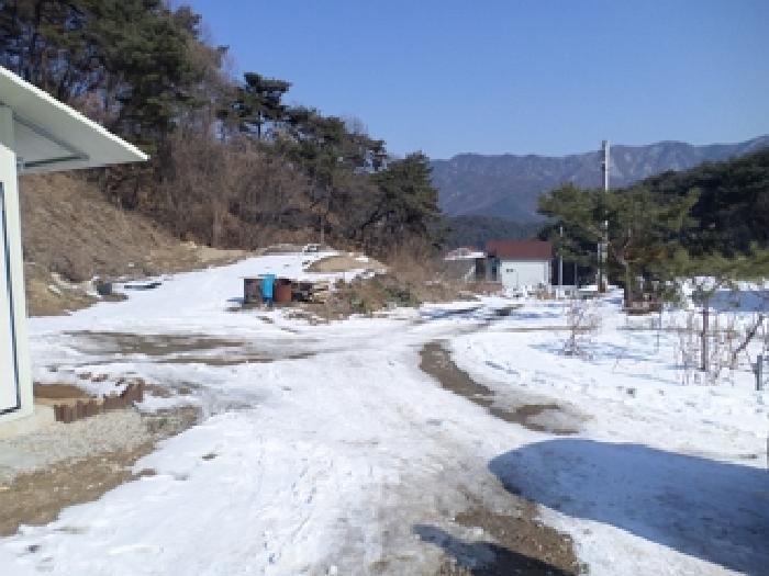 법원경매 2025타경20378 사진7 | 원주시 판부면 서곡리 1347-1 임야 경매