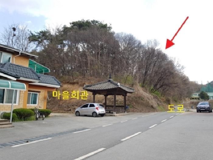 법원경매 2025타경20537 사진5 | 횡성군 횡성읍 임야 경매