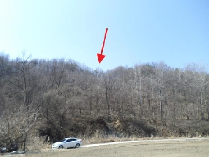 법원경매 2025타경20546 사진3 | 원주시 반곡동 16-16 임야 경매