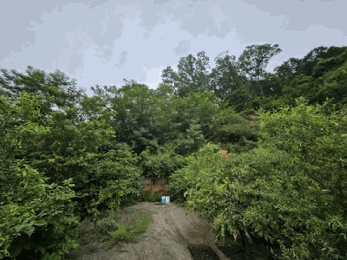 2025타경640 법원경매 사진5 | 천안 동남구 임야 경매